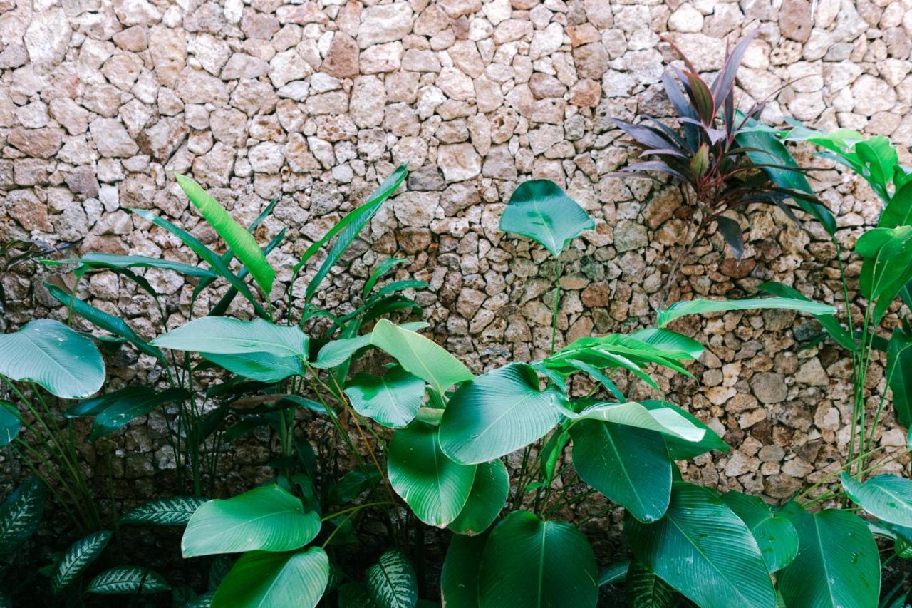 Mana Eco Retreat Ξενοδοχείο Kuta  Εξωτερικό φωτογραφία